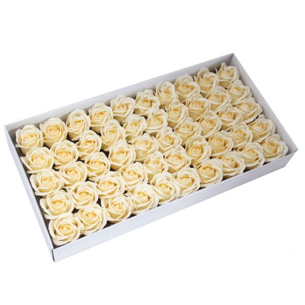 Seebiroos Vanilje 5 tk-50 tk (M suurus)